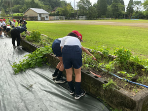 Img_0420 Img_0420