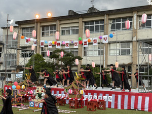 Img_3641 Img_3641